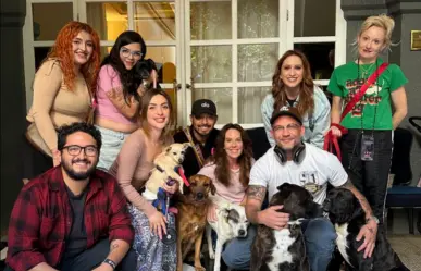 Conoce a Adopta, la fundación para adoptar lomitos que trabaja con Tom Hardy