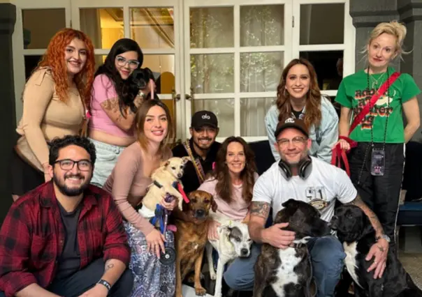 Conoce a Adopta, la fundación para adoptar lomitos que trabaja con Tom Hardy