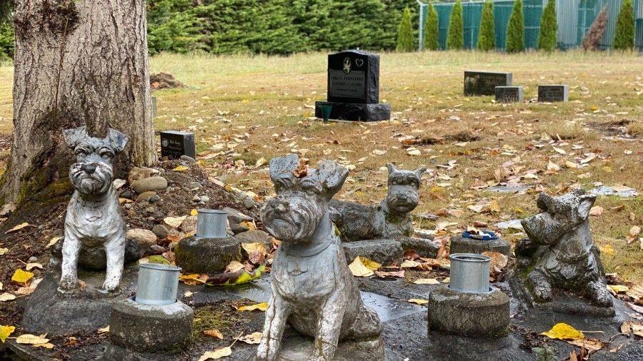 Cementerio para mascotas en la CDMX, ¿buena o mala idea?