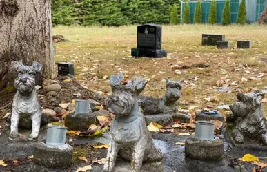 Cementerio para mascotas en la CDMX, ¿buena o mala idea?