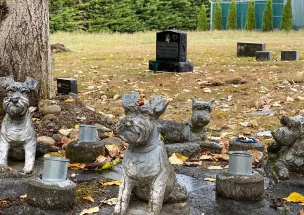 Cementerio para mascotas en la CDMX, ¿buena o mala idea?