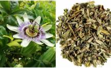 Pasiflora: la planta medicinal que te ayuda contra el insomnio y los nervios