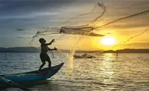¿Cuál es el sueldo al mes de un pescador en Yucatán?