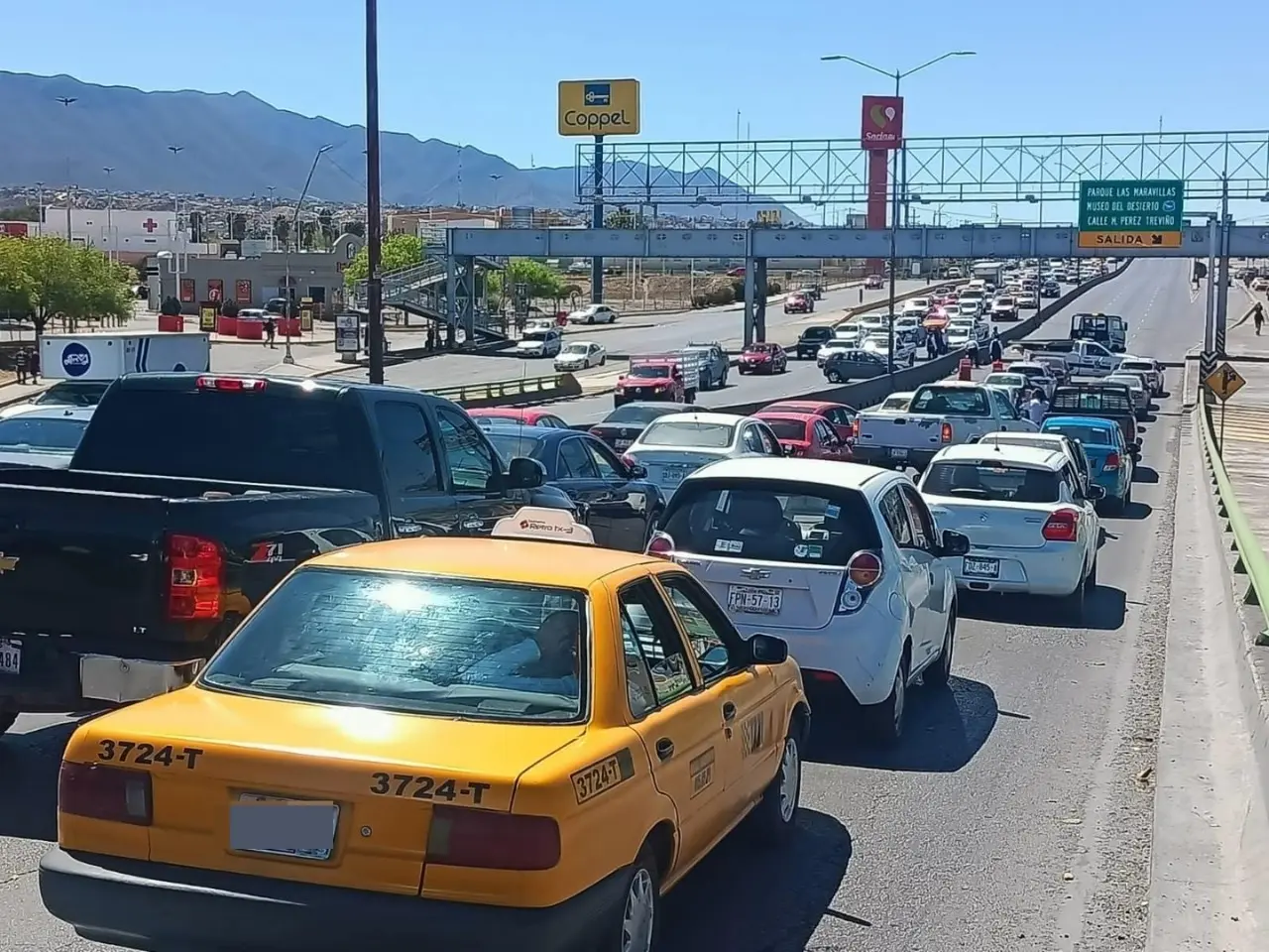 El costo de las nuevas láminas se dará a conocer durante el próximo mes de noviembre. (Fotografía: Claudia Almaraz)