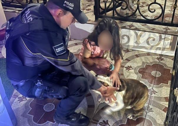 Rescatan a mascota sustraída en Santiago y la recuperan en San Nicolás
