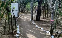 Santuario de los Cactus: ¡Área Natural Protegida! ¿Qué podemos encontrar ahí?