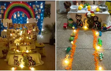 Día de Muertos: No olvides poner la ofrenda para tu mascota