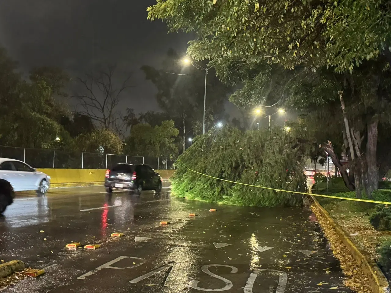 Árbol caído en Río Churubusco CDMX.    Foto: Ramón Ramírez