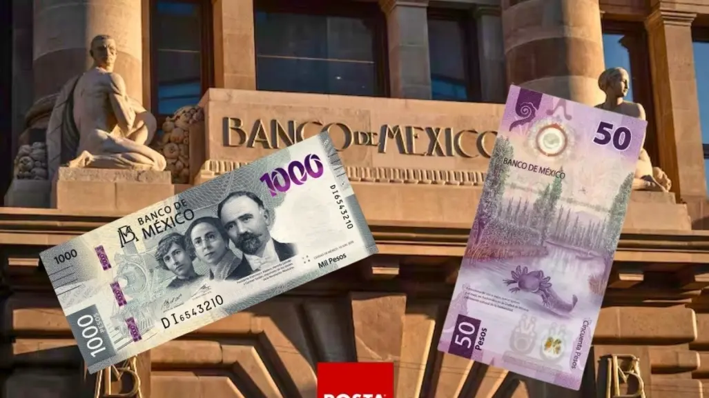 Banxico retirará billetes de 1000 y 50, ¿Aún tendrán validez?