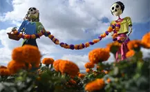 Ven a la Ruta del Mictlán, compra cempasúchil y toma fotos con catrinas Ven a la Ruta del Mictlán, compra cempasúchil y toma fotos con catrinas