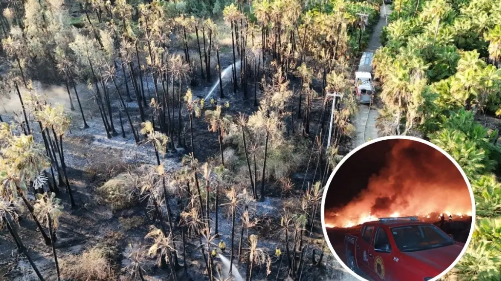 Incendios de Todos Santos sofocados; Milena reveló que pudieron ser provocados