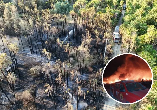 Incendios de Todos Santos sofocados; Milena reveló que pudieron ser provocados