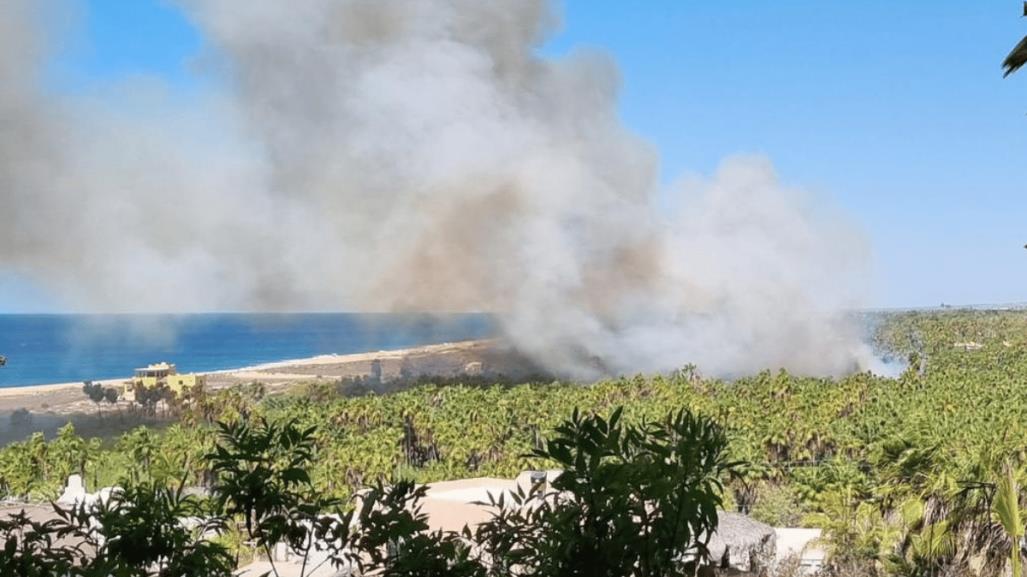 3 incendios en 72 horas: dos simultáneos en Palmar de Todos Santos