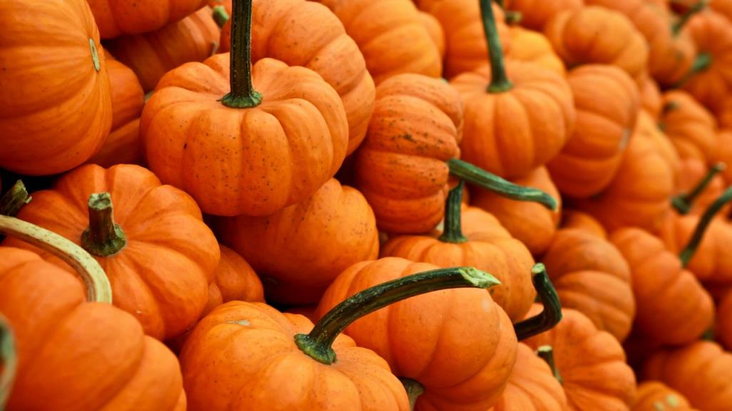 4 beneficios de la calabaza que seguramente no conocías, según la ciencia