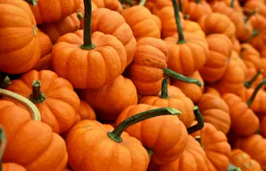 4 beneficios de la calabaza que seguramente no conocías, según la ciencia