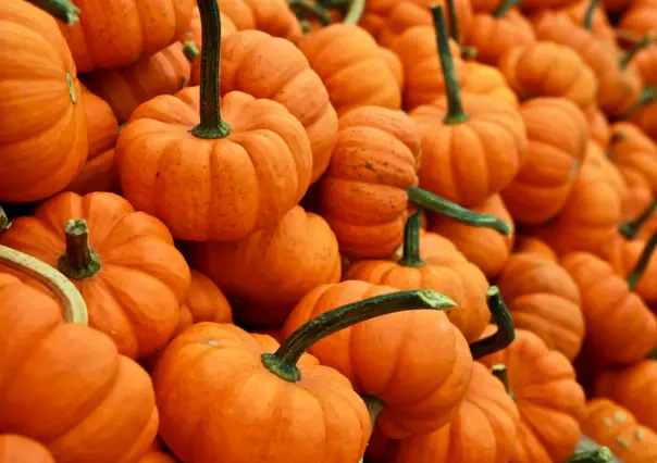 4 beneficios de la calabaza que seguramente no conocías, según la ciencia