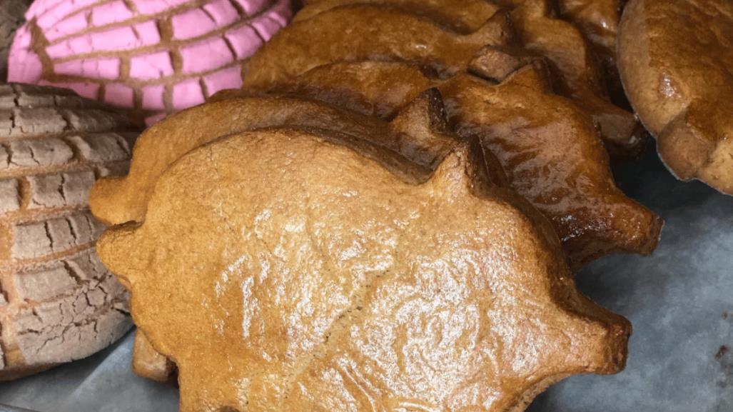 ¿Cúal es el pan dulce más rico de BCS y dónde conseguirlo?