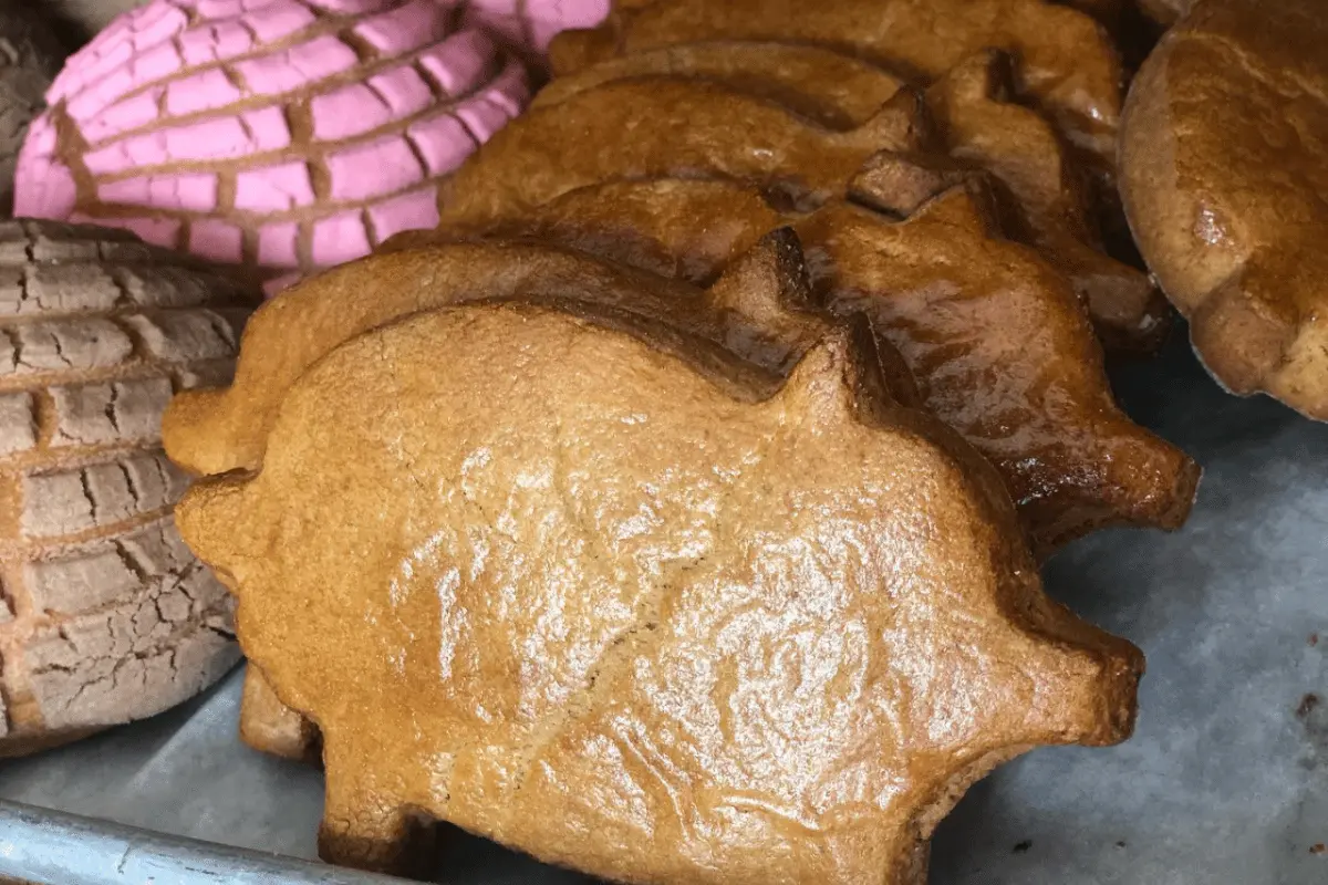 ¿Cúal es el pan dulce más rico de BCS y dónde conseguirlo?