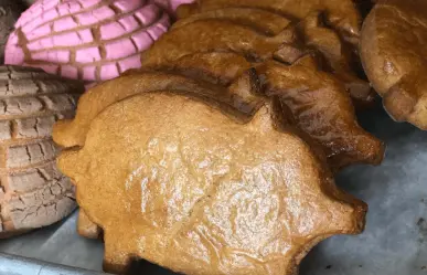 ¿Cúal es el pan dulce más rico de BCS y dónde conseguirlo?