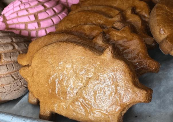 ¿Cúal es el pan dulce más rico de BCS y dónde conseguirlo?