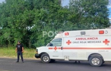 Se electrocuta y muere arriba de un nogal al cosechar nuez
