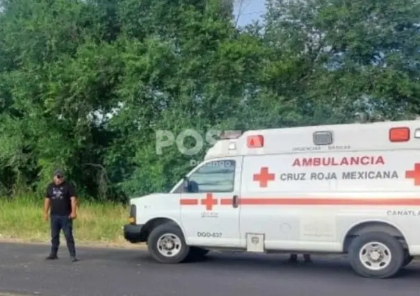 Se electrocuta y muere arriba de un nogal al cosechar nuez