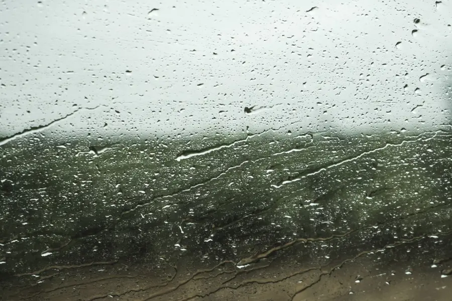 Pronóstico del tiempo para Tamaulipas hoy 23 de octubre