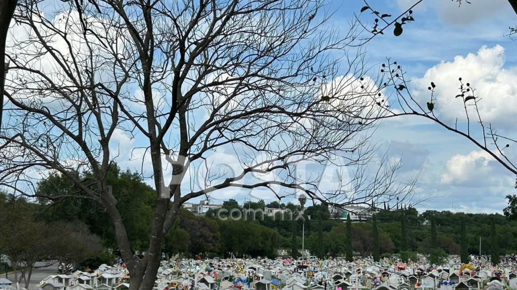 Día de Muertos: ¿Cuánto cuestan las flores en los panteones?