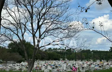 Día de Muertos: ¿Cuánto cuestan las flores en los panteones?