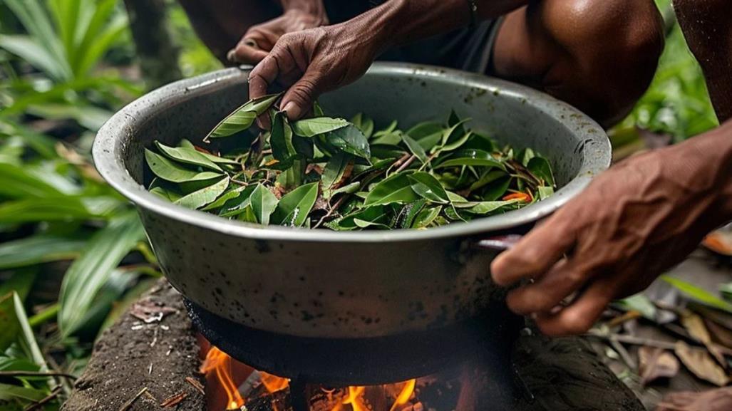 ¿Qué es la ayahuasca y cuáles son sus efectos alucinógenos?