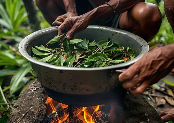 ¿Qué es la ayahuasca y cuáles son sus efectos alucinógenos?