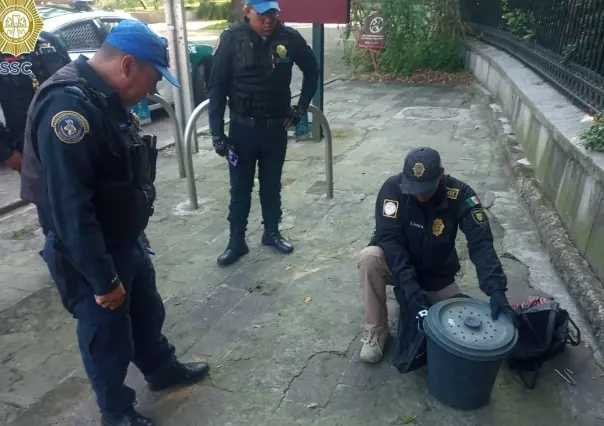 Hallan víbora de cascabel en Bosque de Chapultepec. De las más venenosas