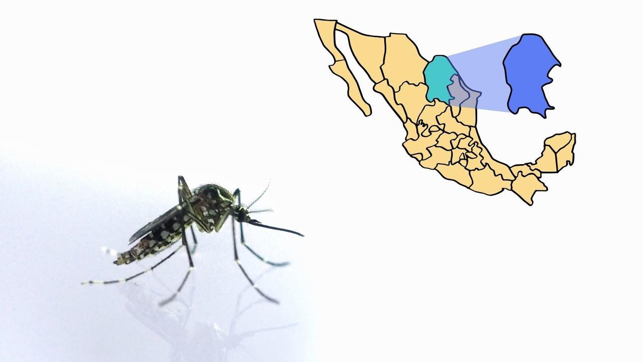 El dengue es una enfermedad viral que se propaga a través de la picadura de mosquitos infectados. (Fotografía: Canva)