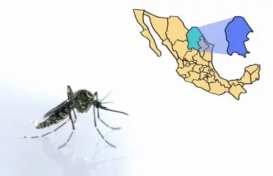 Dengue en Coahuila: ¿cuáles son los municipios con mayor incidencia?