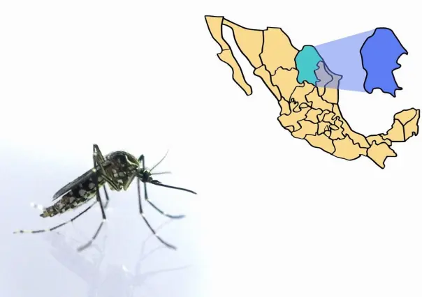 Dengue en Coahuila: ¿cuáles son los municipios con mayor incidencia?