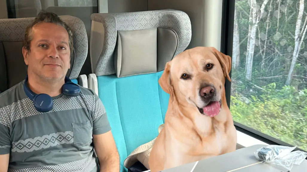 ¿Se puede viajar con un perro en el Tren Maya?