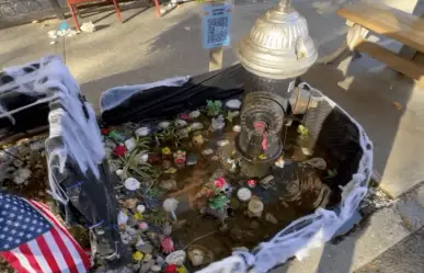 Adiós al improvisado estanque de peces de colores en Brooklyn