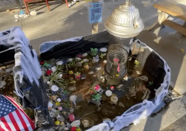 Adiós al improvisado estanque de peces de colores en Brooklyn