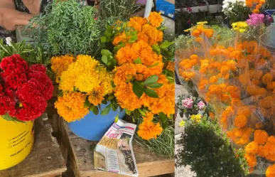 Flor de Cempasúchil: ¿Cuál es su significado y cómo ayuda a las ánimas?