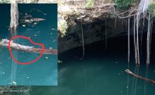 Encuentran a cocodrilo atrapado en un cenote de Yucatán (FOTOS)