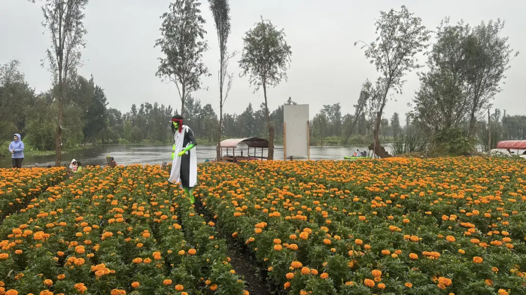 Día en Muertos en Xochimilco: Las actividades especiales que no te debes perder