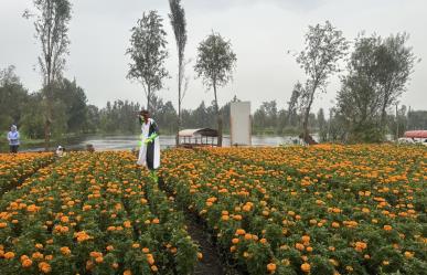 Día en Muertos en Xochimilco: Las actividades especiales que no te debes perder