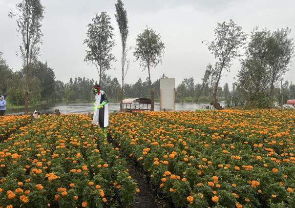 Día en Muertos en Xochimilco: Las actividades especiales que no te debes perder