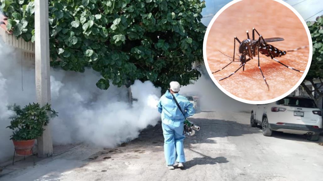 Campaña de fumigación en Acuña: Acciones para combatir el dengue 