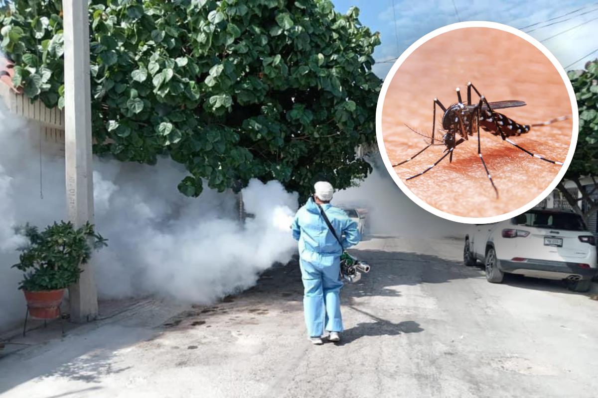 Fumigación contra el Dengue en Coahuila / Foto: Secretaría de Salud Coahuila | Canva