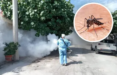 Campaña de fumigación en Acuña: Acciones para combatir el dengue 