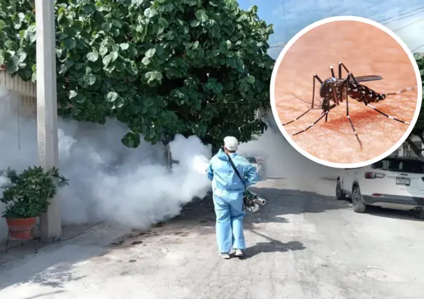 Campaña de fumigación en Acuña: Acciones para combatir el dengue 