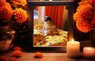 27 de octubre, día para recordar a las mascotas