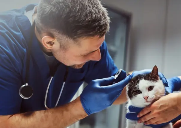 Feria de Salud Animal: Monterrey anuncia servicios gratuitos para tu mascota