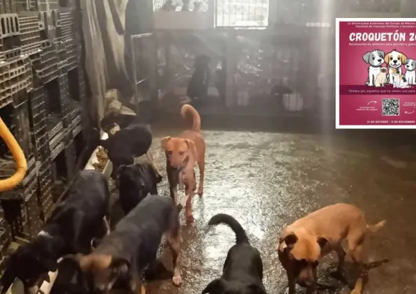 Croquetón en FCPyS de la UAEméx, te decimos dónde puedes colaborar